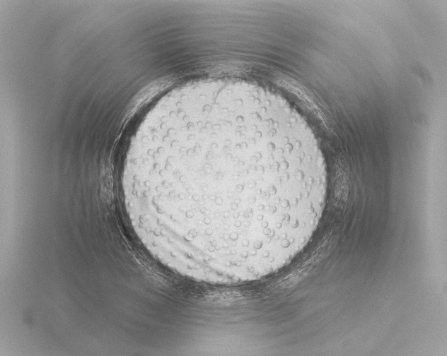 X0000115500978200912181420