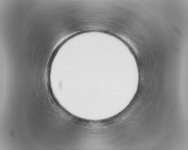 X0000115500983200912181420