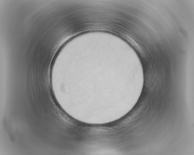 X0000115500988200912181420