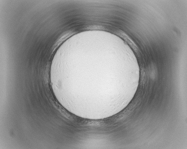 X0000115501002200912181420