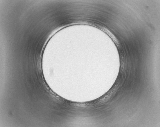 X0000115501004200912181420