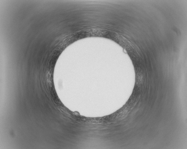 X0000115501010200912181419
