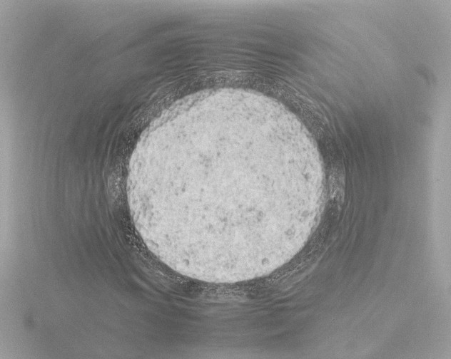 X0000115501011200912181419