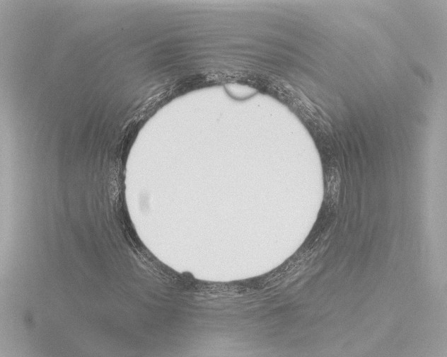 X0000115501012200912181419