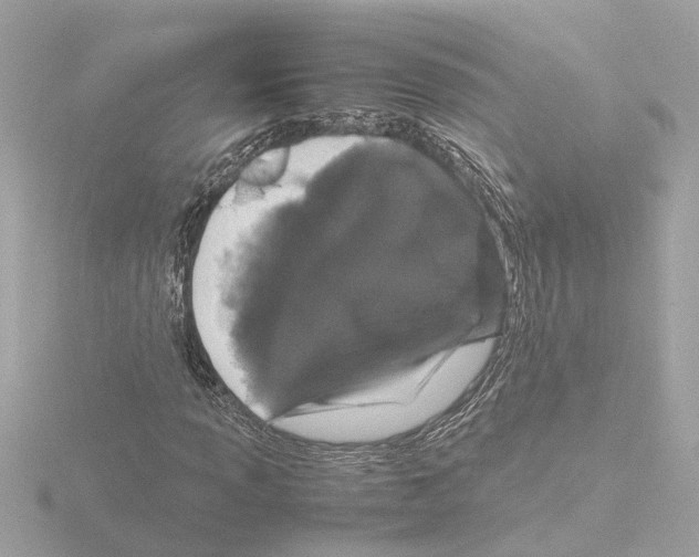 X0000115501013200912181419