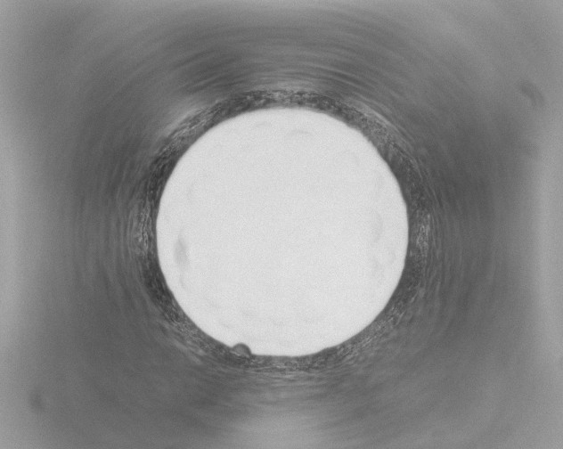 X0000115501014200912181419