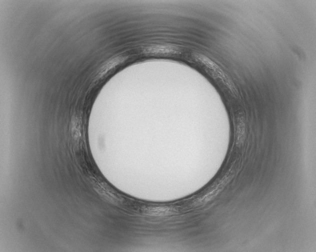 X0000115501017200912181419
