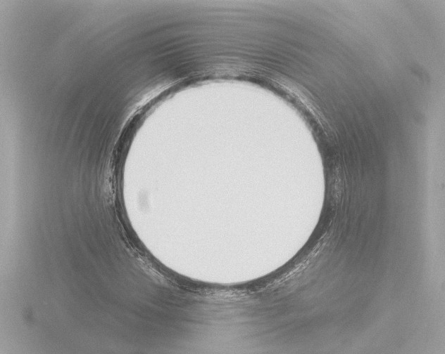 X0000115501018200912181419
