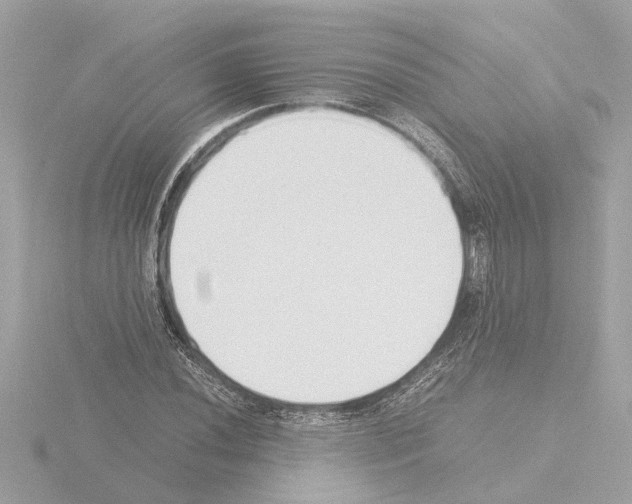 X0000115501020200912181419