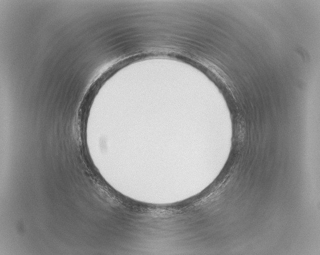 X0000115501022200912181419