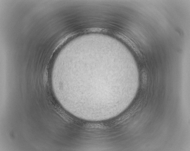 X0000115501023200912181419