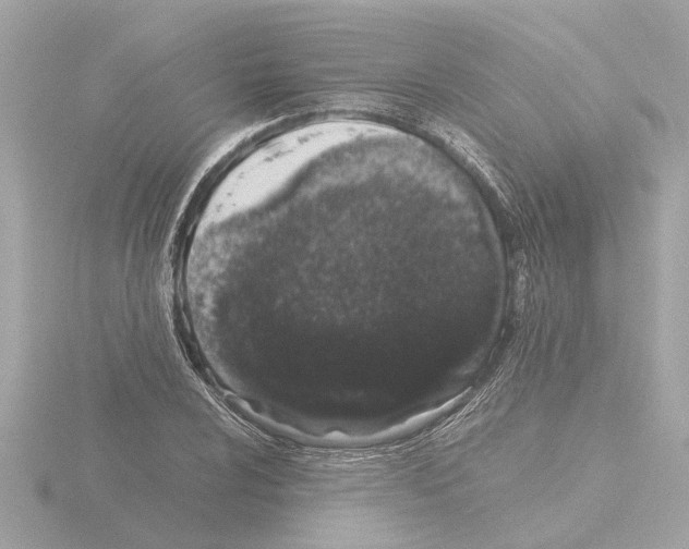 X0000115501024200912181419