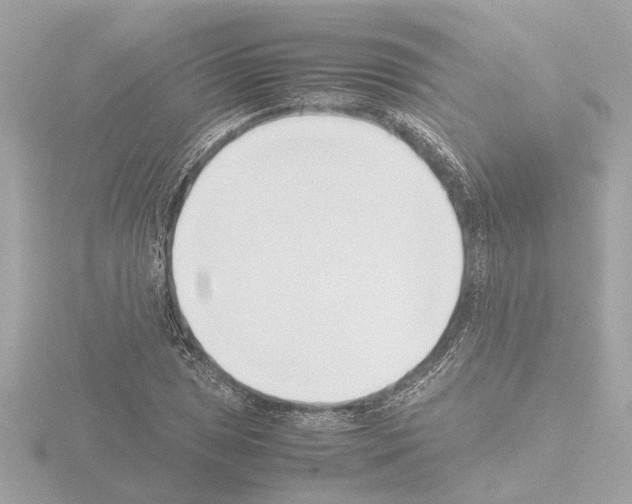 X0000115501025200912181419