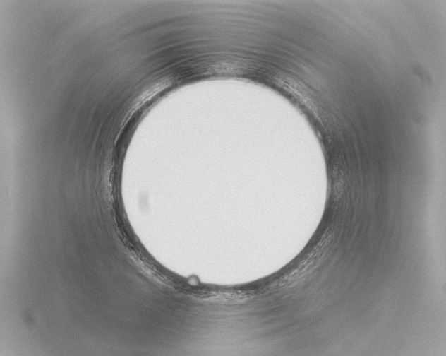 X0000115501026200912181419