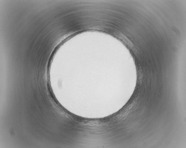 X0000115501028200912181419