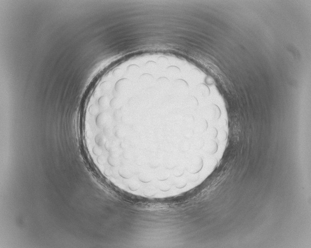 X0000115501030200912181419