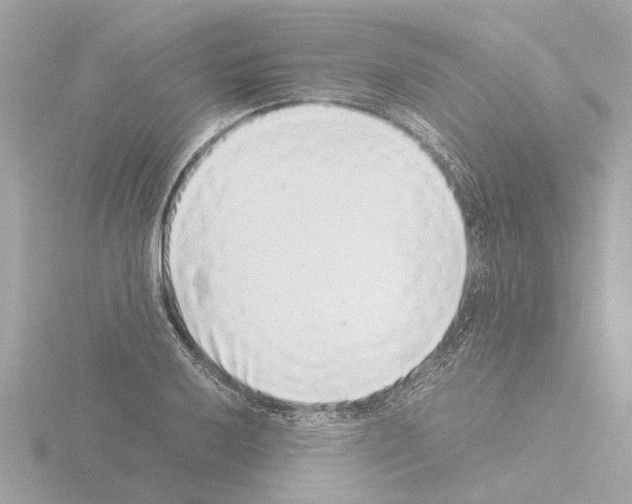 X0000115501032200912181419