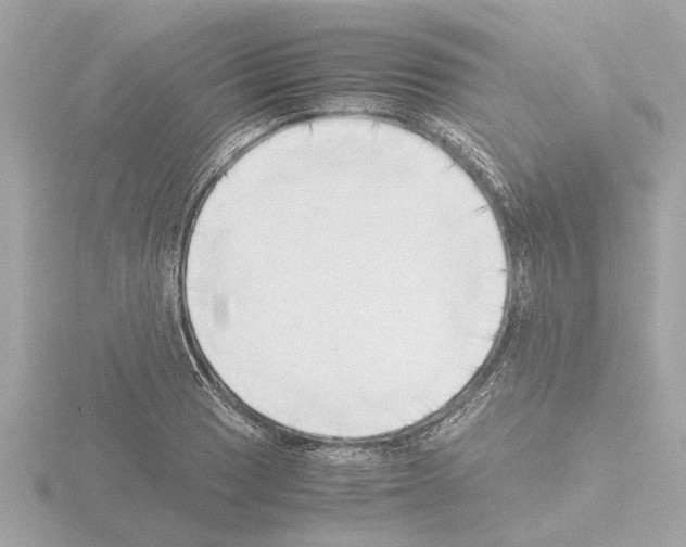 X0000115501033200912181419