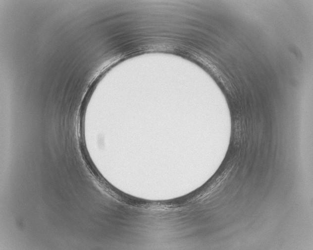 X0000115501034200912181419