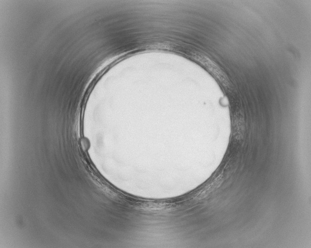 X0000115501036200912181419