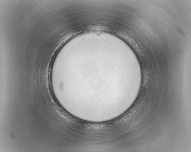 X0000115501039200912181419