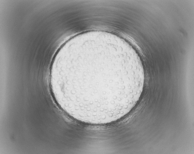 X0000115501040200912181419