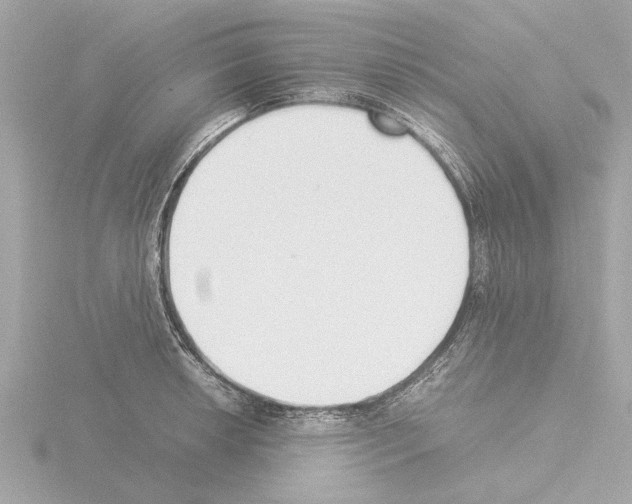 X0000115501042200912181420