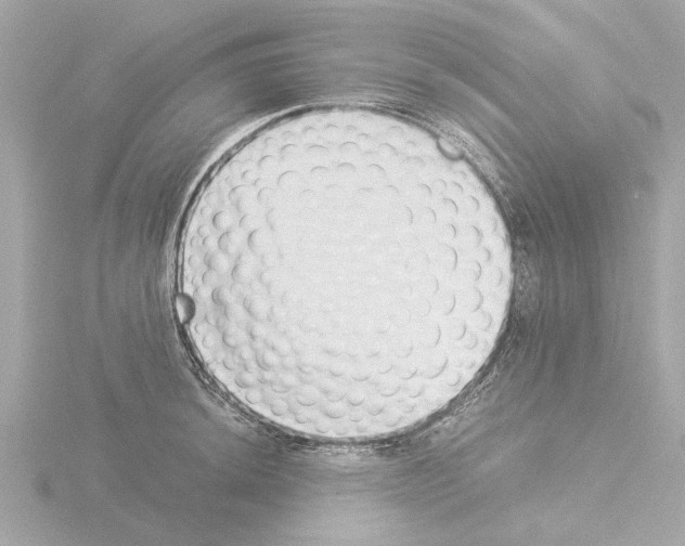 X0000115501044200912181420