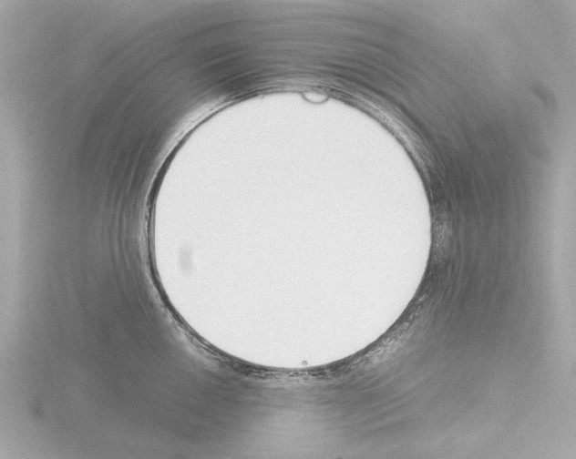 X0000115501050200912181420