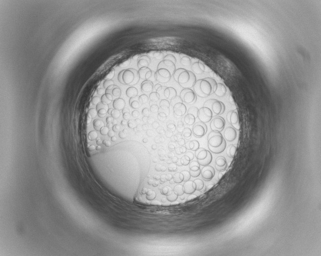 X0000115501054200912181420