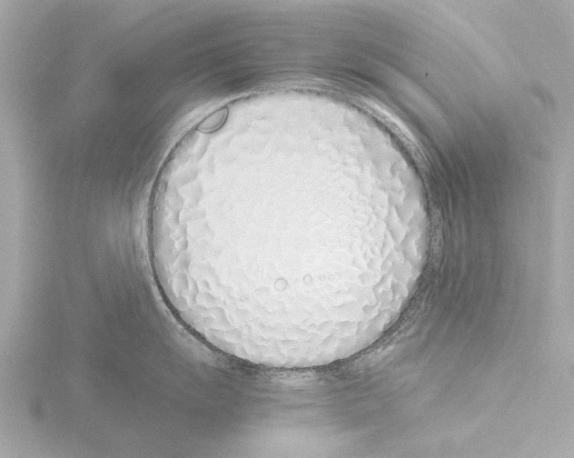 X0000115501055200912181420