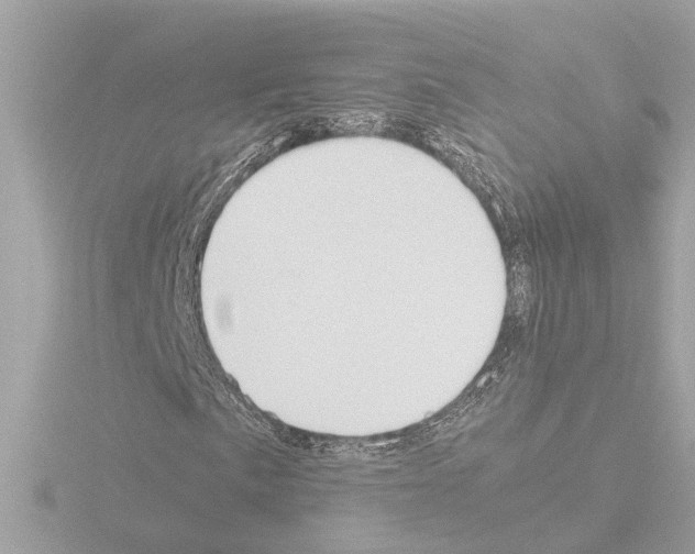 X0000115501057200912181419