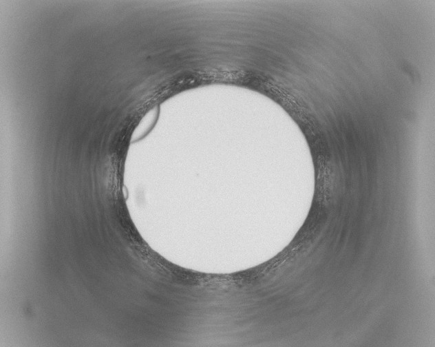 X0000115501058200912181419