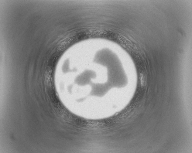 X0000115501059200912181419