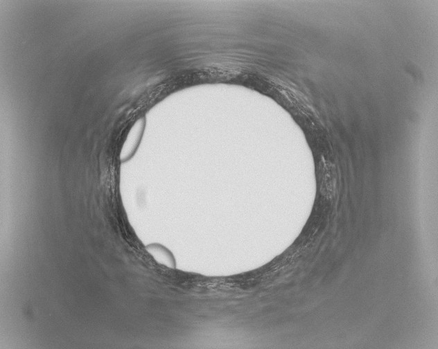 X0000115501061200912181419