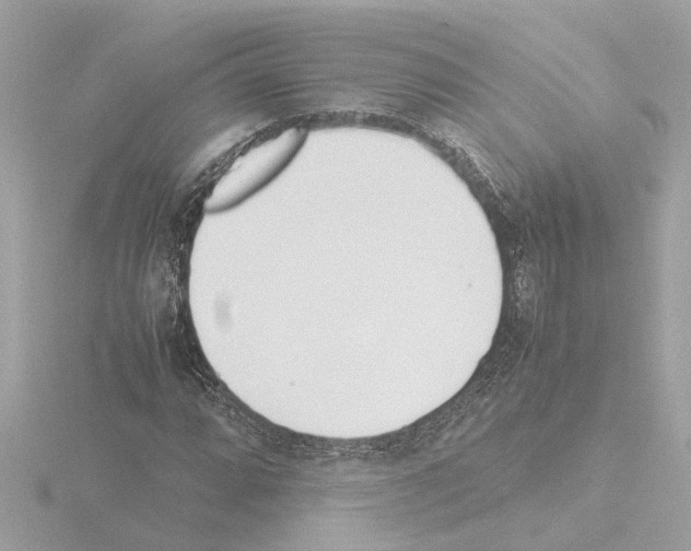 X0000115501064200912181419