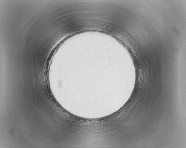 X0000115501068200912181419