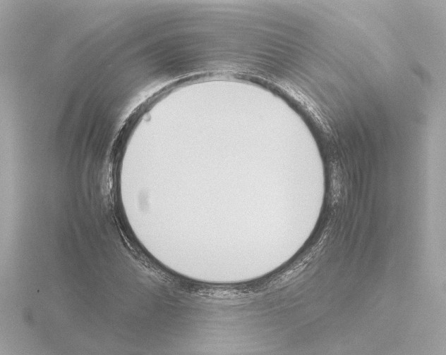 X0000115501070200912181419