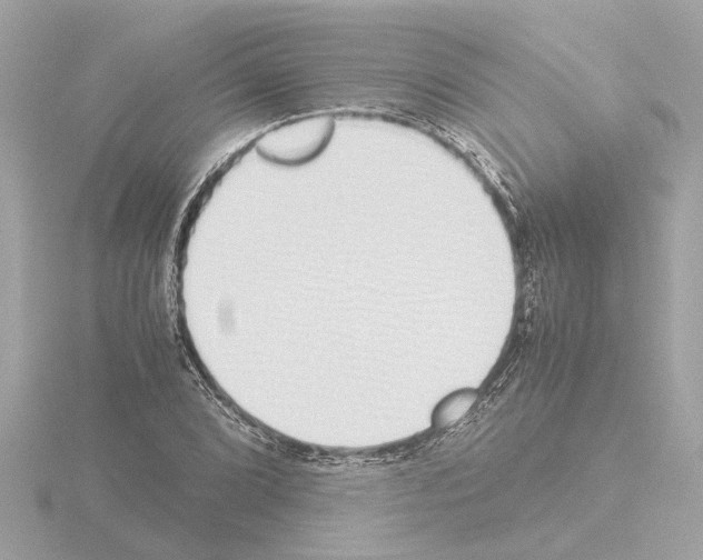 X0000115501072200912181419
