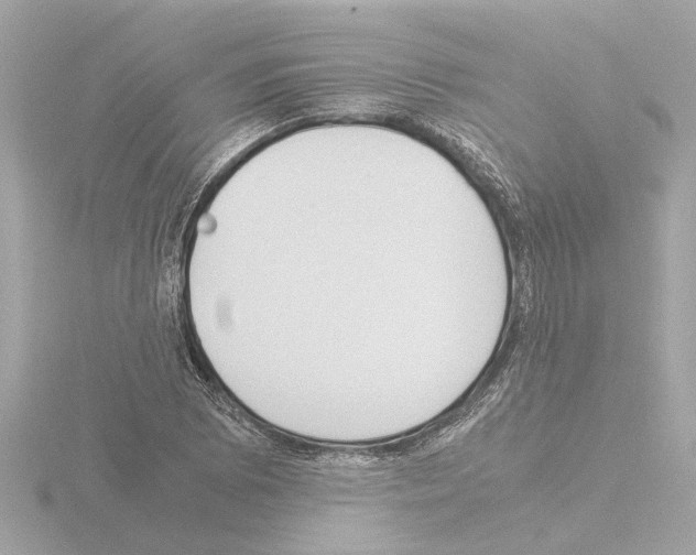 X0000115501073200912181419