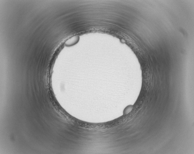 X0000115501076200912181419