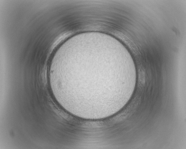 X0000115501078200912181419