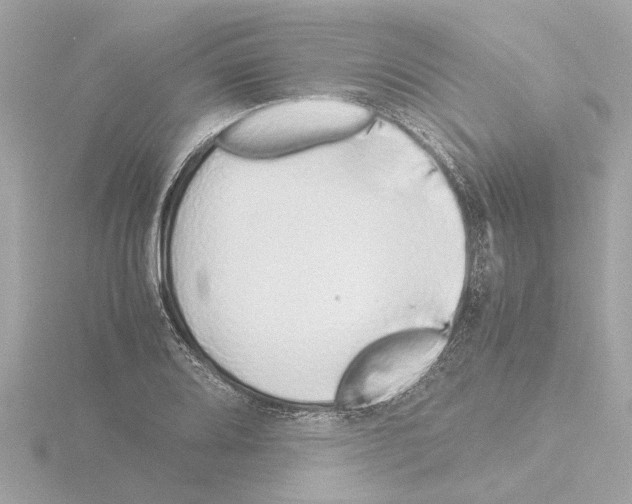X0000115501080200912181419