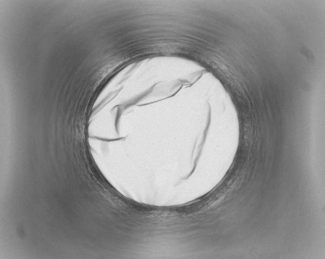 X0000115501081200912181419
