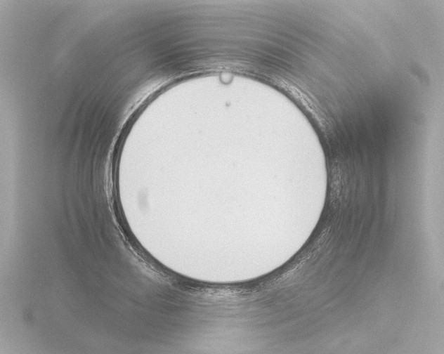 X0000115501082200912181419