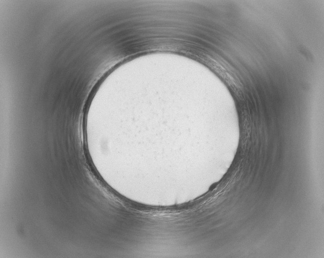 X0000115501084200912181419