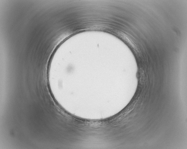 X0000115501087200912181419