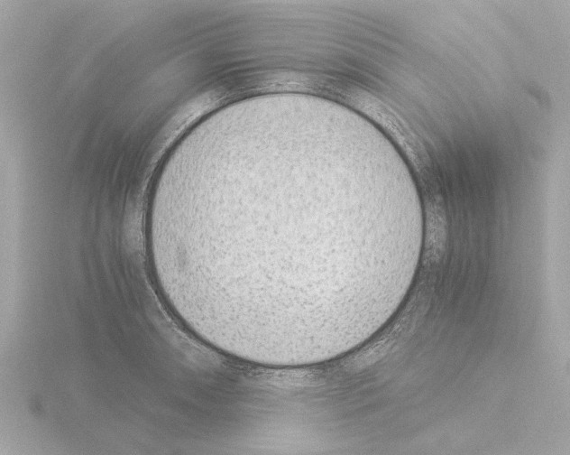 X0000115501090200912181418
