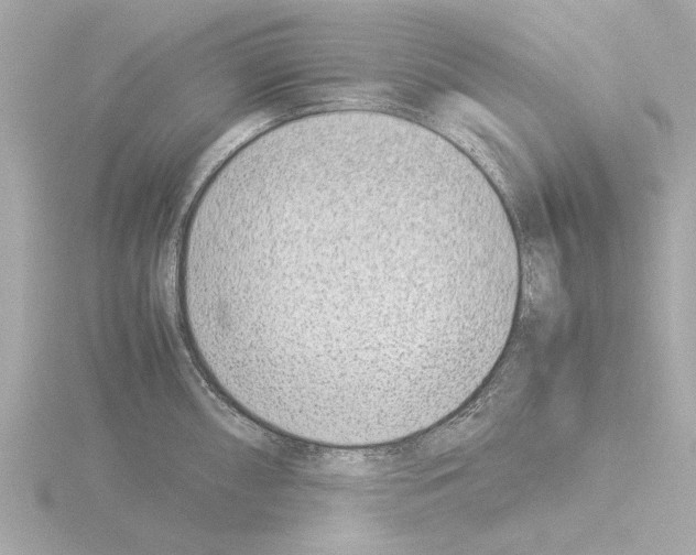 X0000115501098200912181418