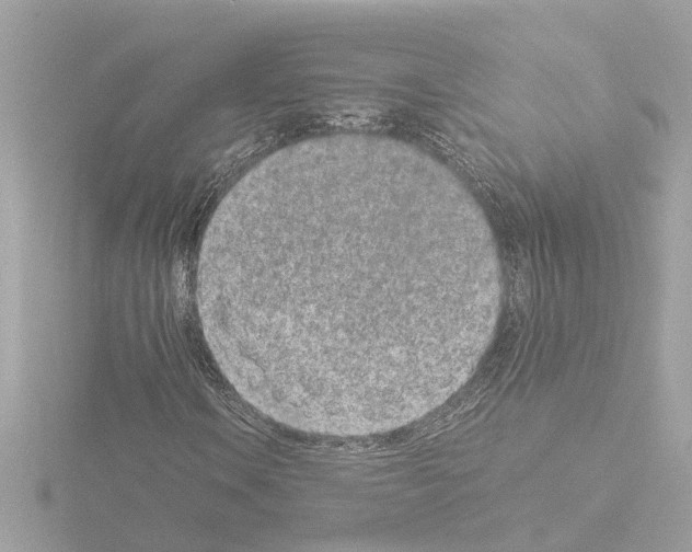 X0000115501106200912181418